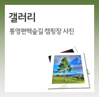 갤러리